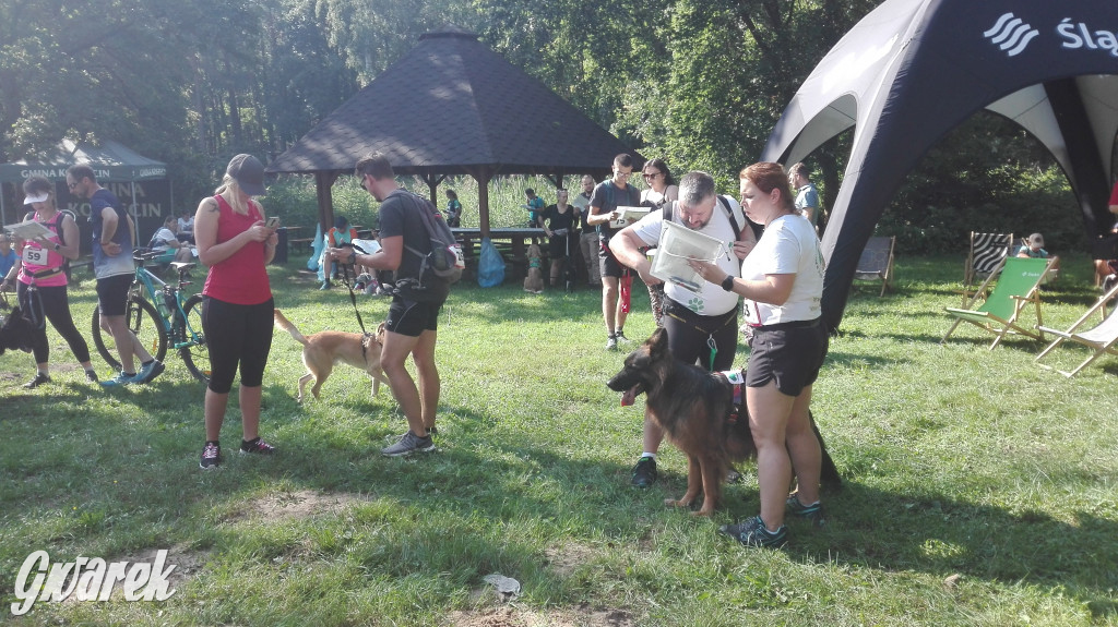 Psy na starcie, czyli dogtrekking w Koszęcinie