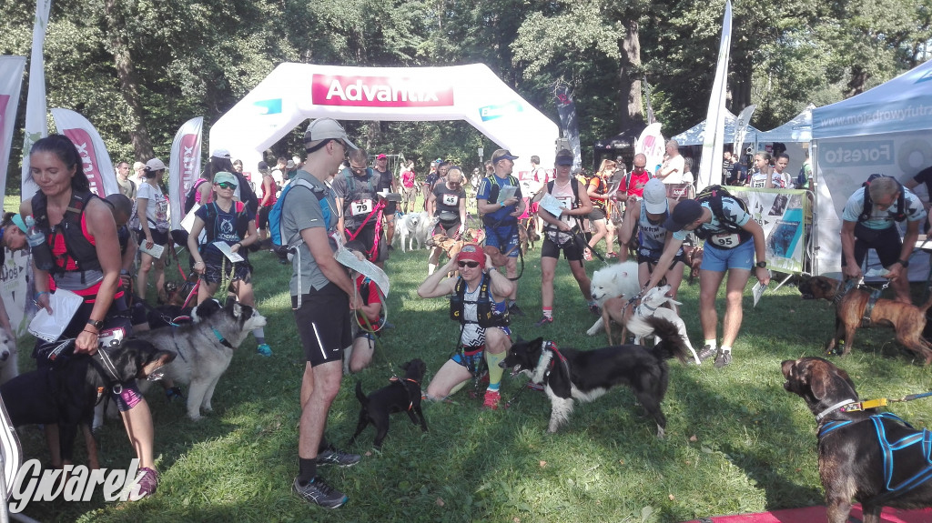 Psy na starcie, czyli dogtrekking w Koszęcinie