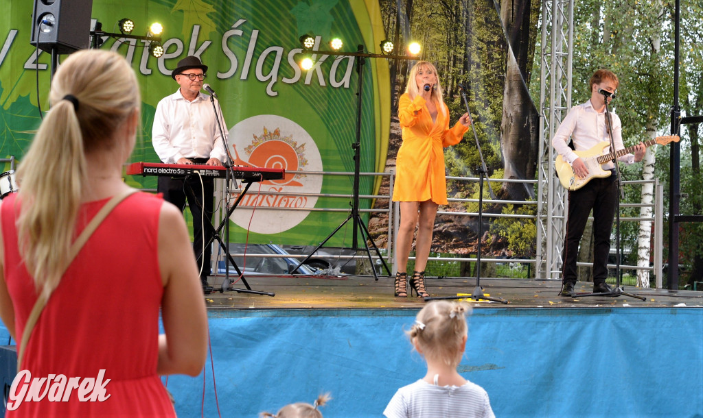 Święto Ryby - Kalety