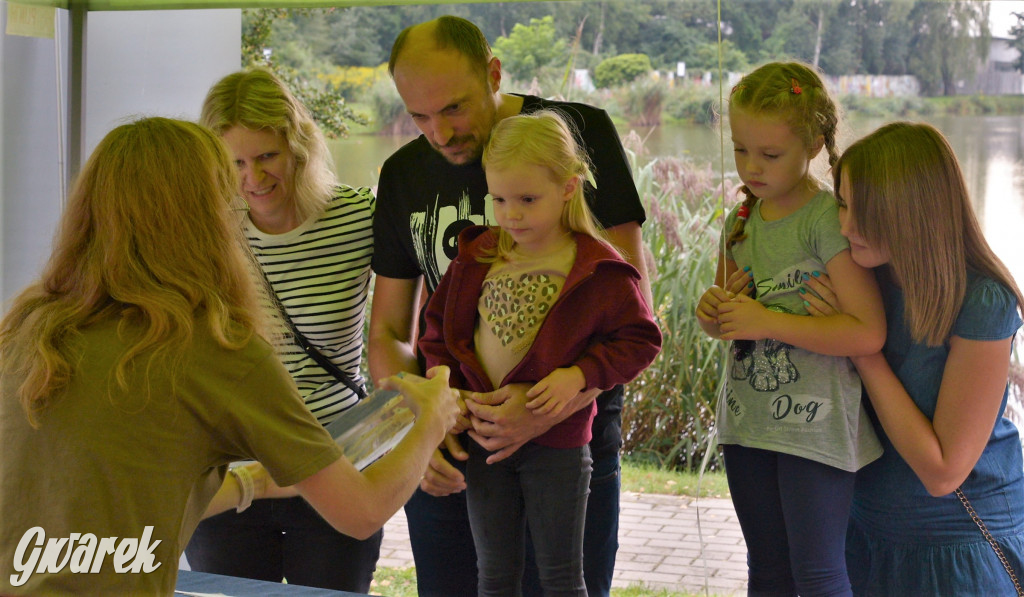 Święto Ryby - Kalety