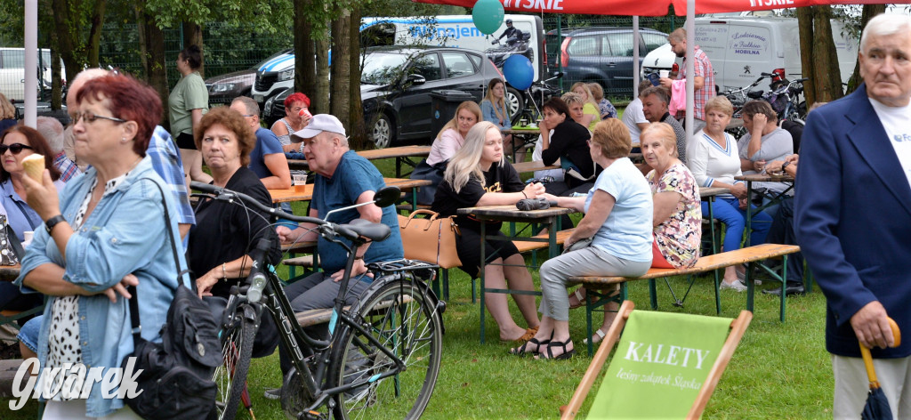 Święto Ryby - Kalety