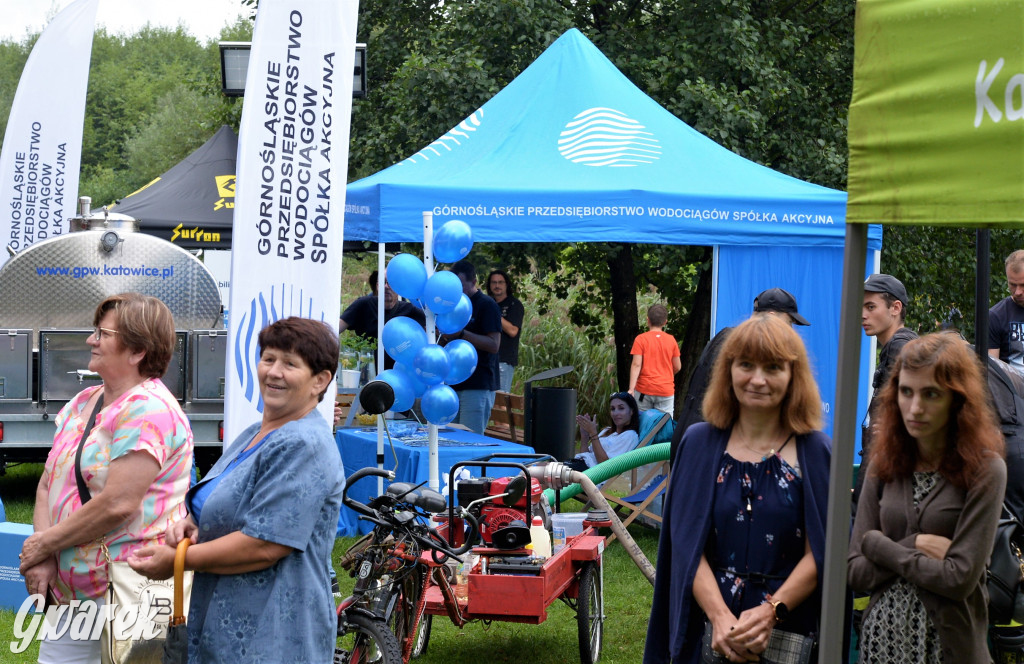 Święto Ryby - Kalety