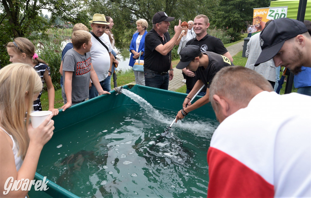 Święto Ryby - Kalety