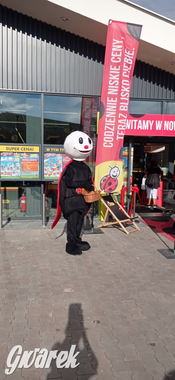 Biedronka na ul. Janasa po liftingu