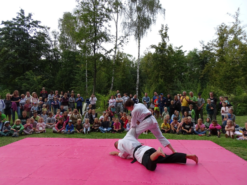 Piknik w ogrodzie botanicznym