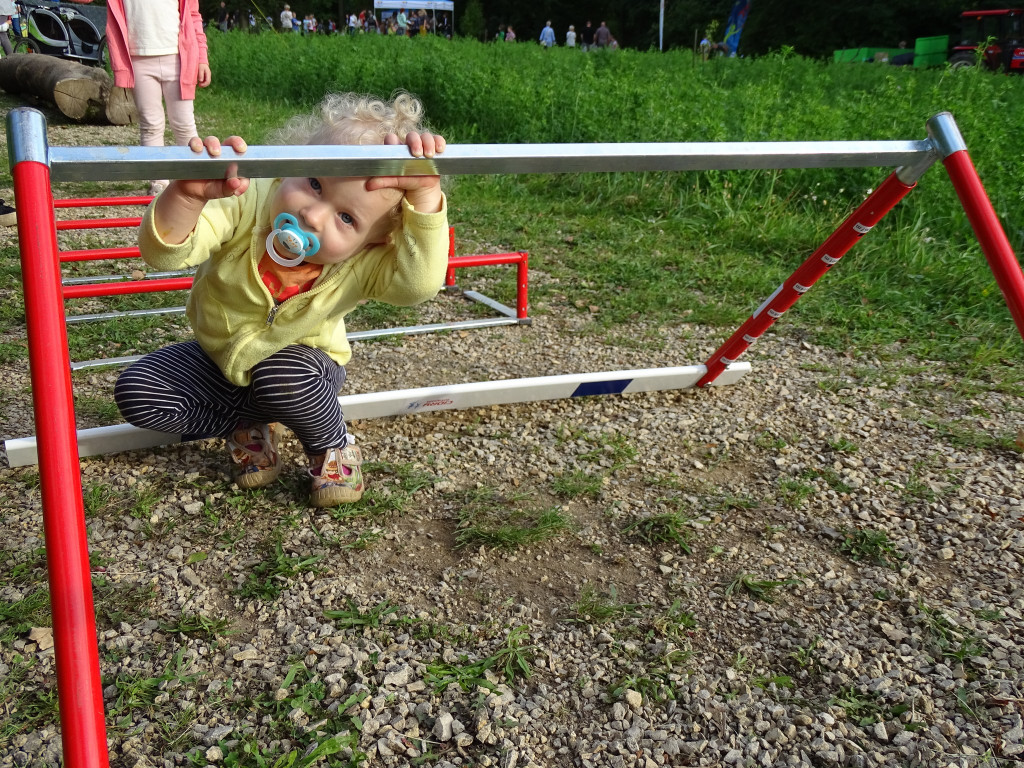 Piknik w ogrodzie botanicznym