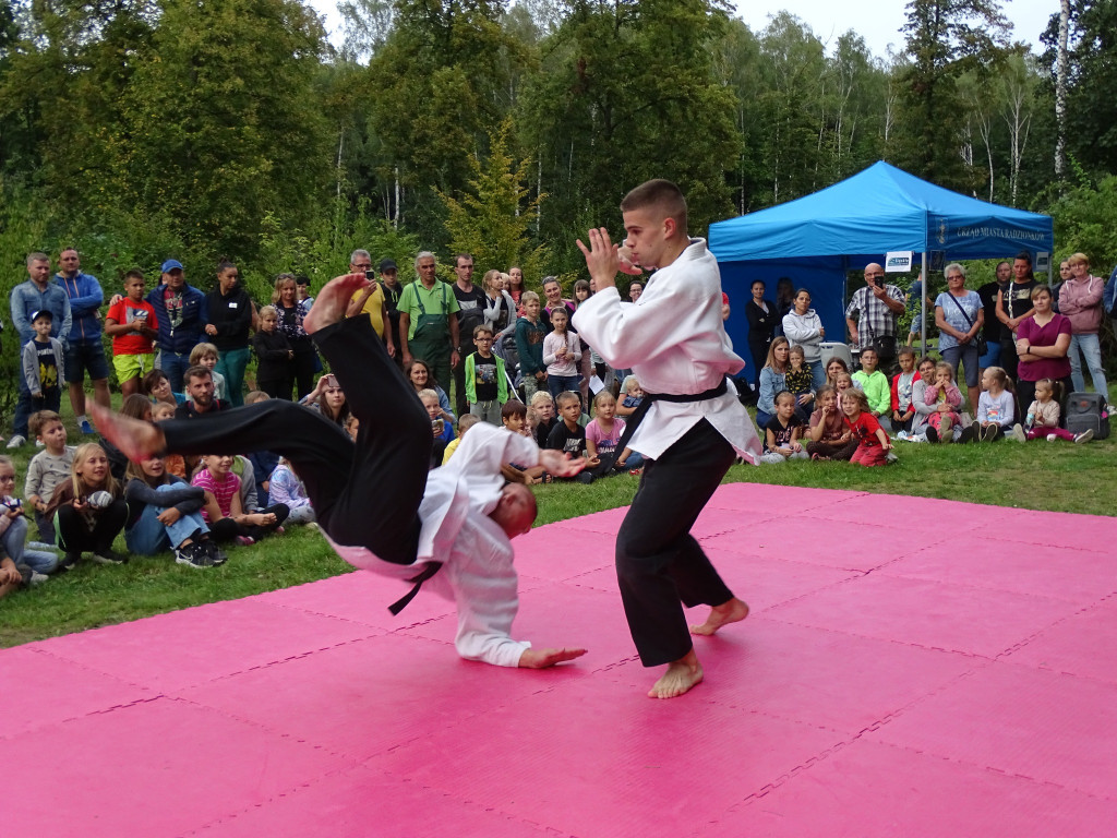 Piknik w ogrodzie botanicznym