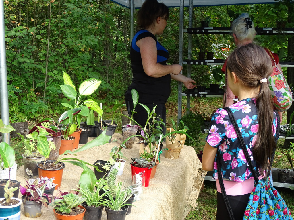 Piknik w ogrodzie botanicznym