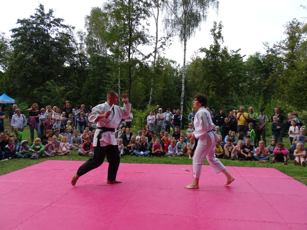 Piknik w ogrodzie botanicznym