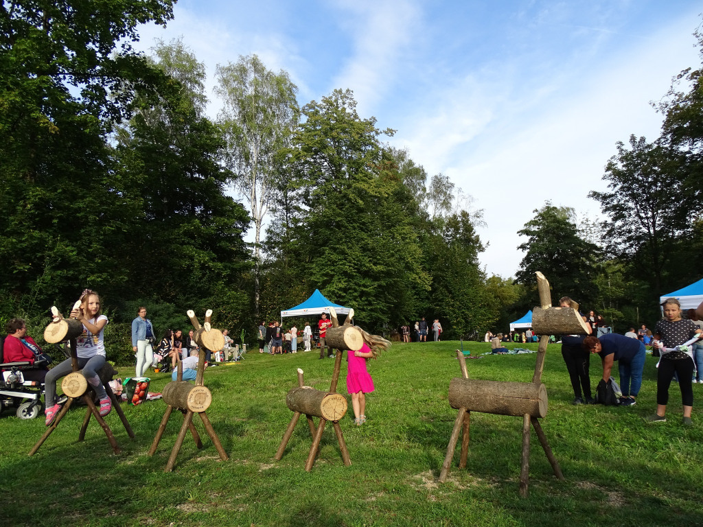 Piknik w ogrodzie botanicznym