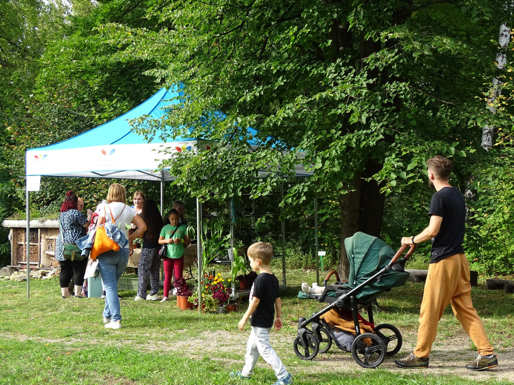 Piknik w ogrodzie botanicznym