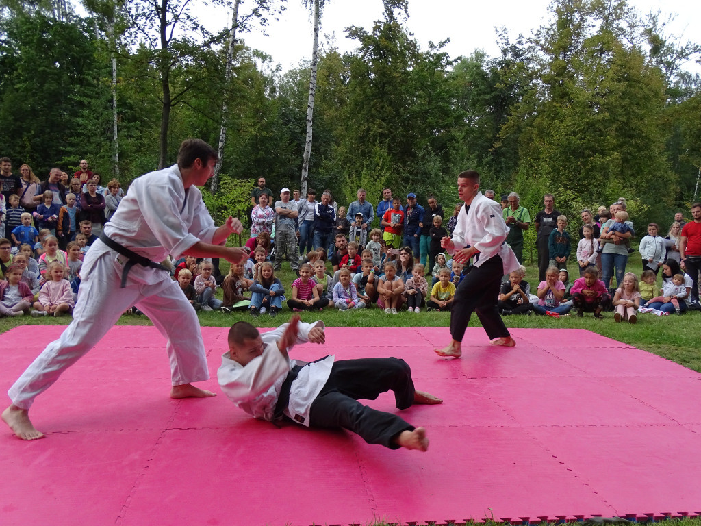 Piknik w ogrodzie botanicznym