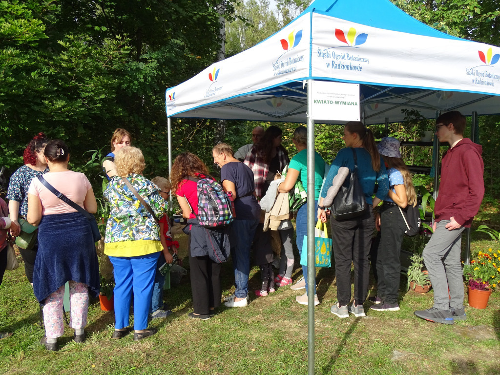 Piknik w ogrodzie botanicznym