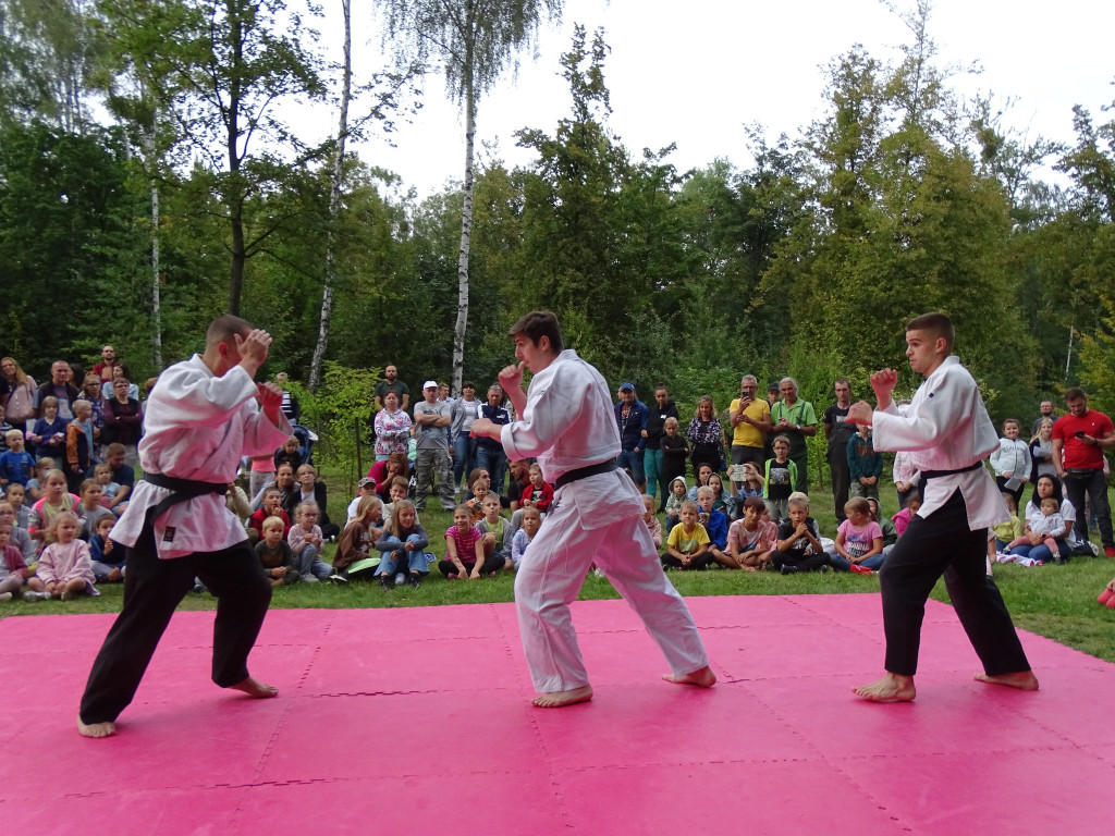 Piknik w ogrodzie botanicznym