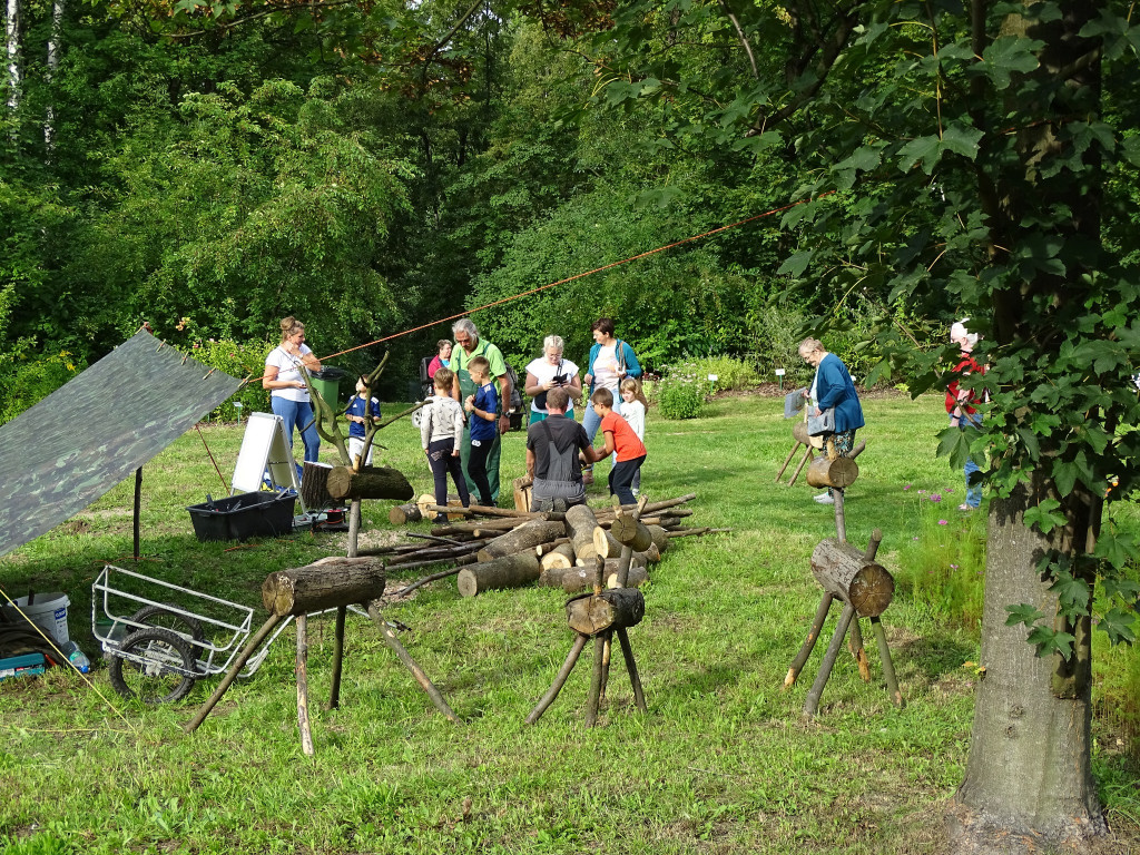 Piknik w ogrodzie botanicznym