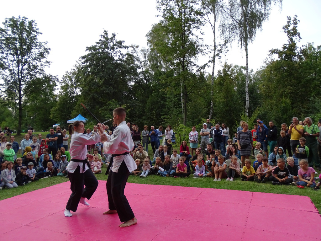 Piknik w ogrodzie botanicznym