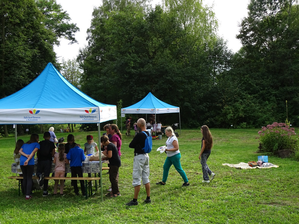 Piknik w ogrodzie botanicznym