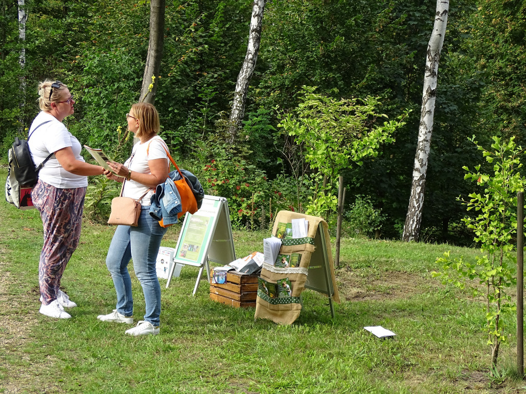 Piknik w ogrodzie botanicznym