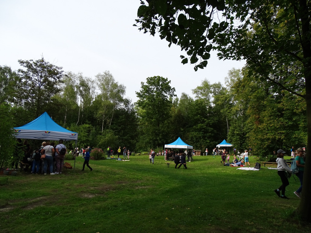 Piknik w ogrodzie botanicznym