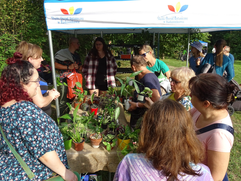 Piknik w ogrodzie botanicznym