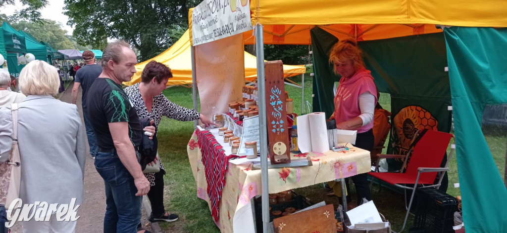 Dożynki w Świerklańcu. Na stoiskach rękodzieło i miody