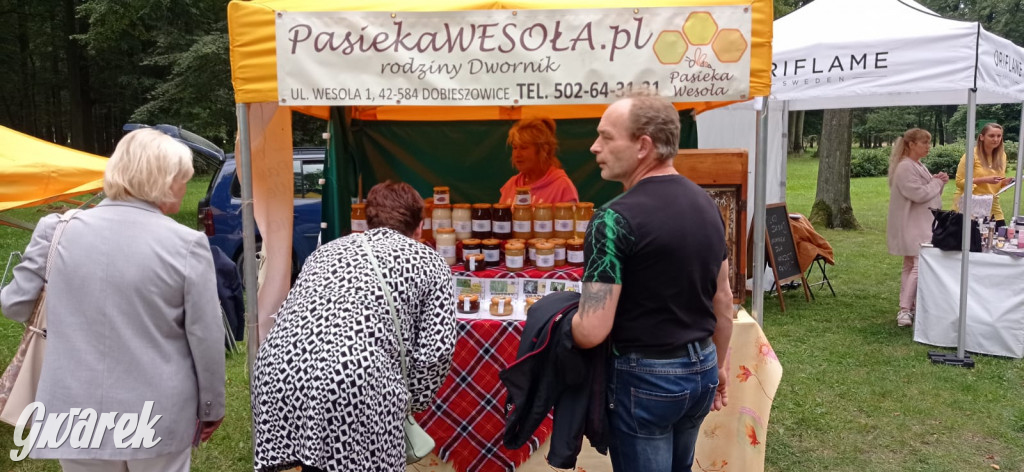 Dożynki w Świerklańcu. Na stoiskach rękodzieło i miody