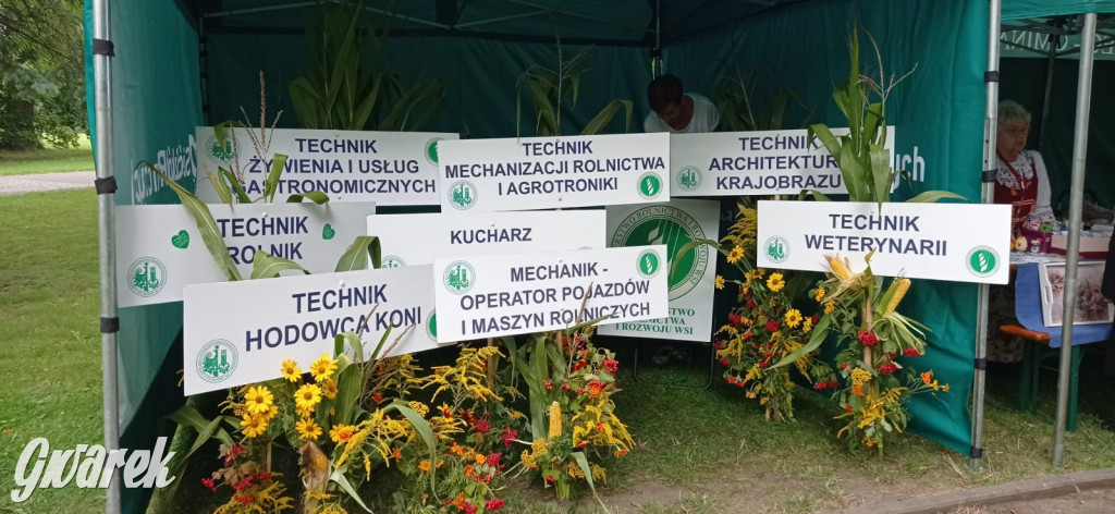 Dożynki w Świerklańcu. Na stoiskach rękodzieło i miody