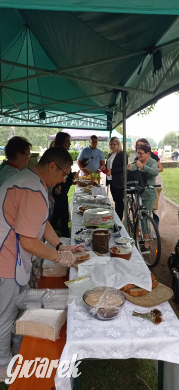 Dożynki w Świerklańcu. Na stoiskach rękodzieło i miody