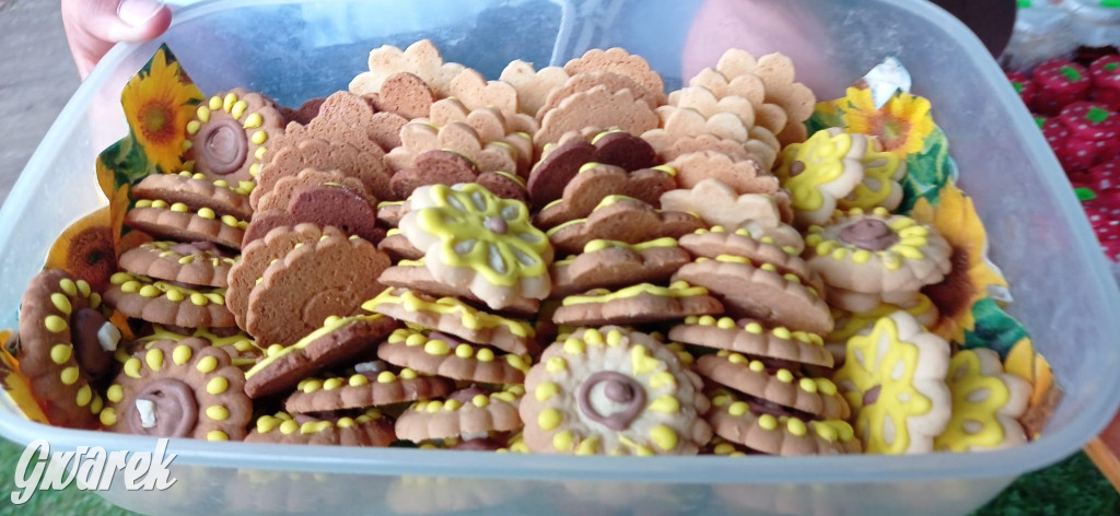 Dożynki w Świerklańcu. Na stoiskach rękodzieło i miody