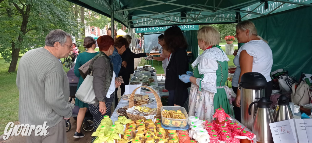 Dożynki w Świerklańcu. Na stoiskach rękodzieło i miody
