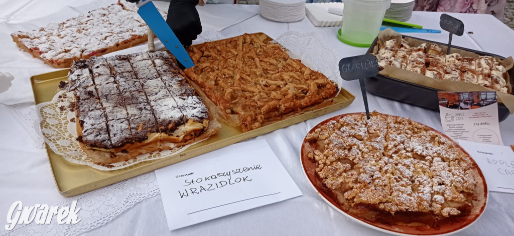 Dożynki w Świerklańcu: korowód i jarmark