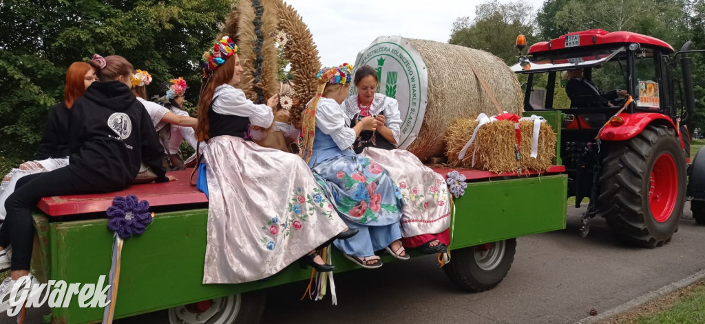 Dożynki w Świerklańcu: korowód i jarmark