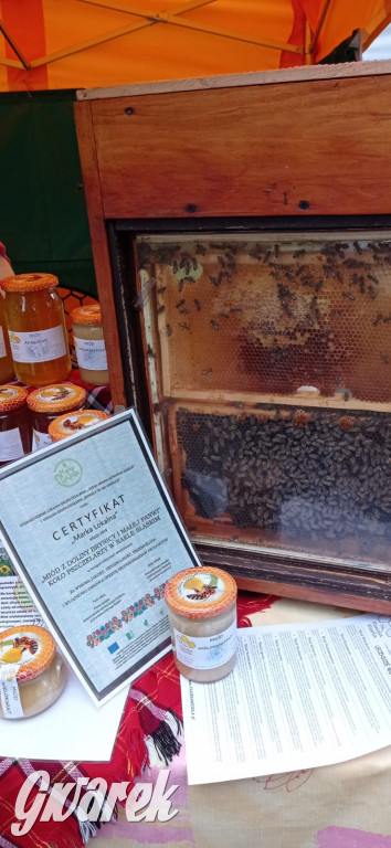 Dożynki w Świerklańcu: korowód i jarmark