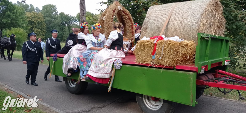 Dożynki w Świerklańcu: korowód i jarmark