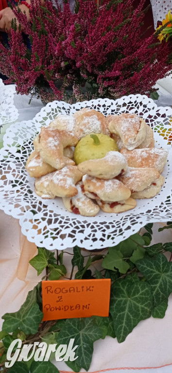 Dożynki w Świerklańcu: korowód i jarmark