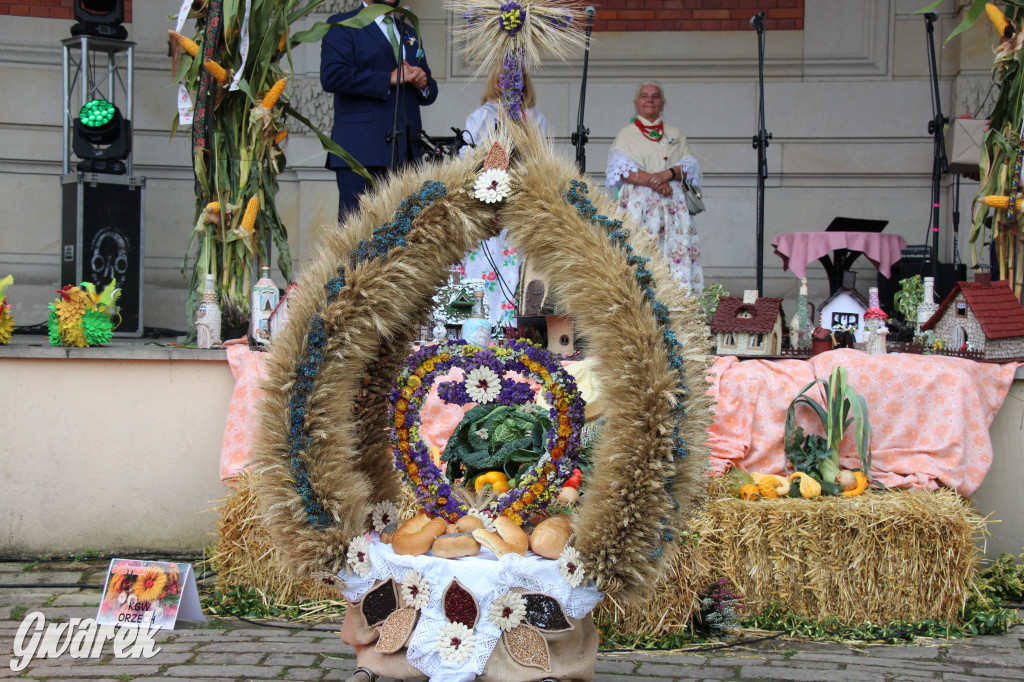 Dożynki w Świerklańcu: korowód i jarmark