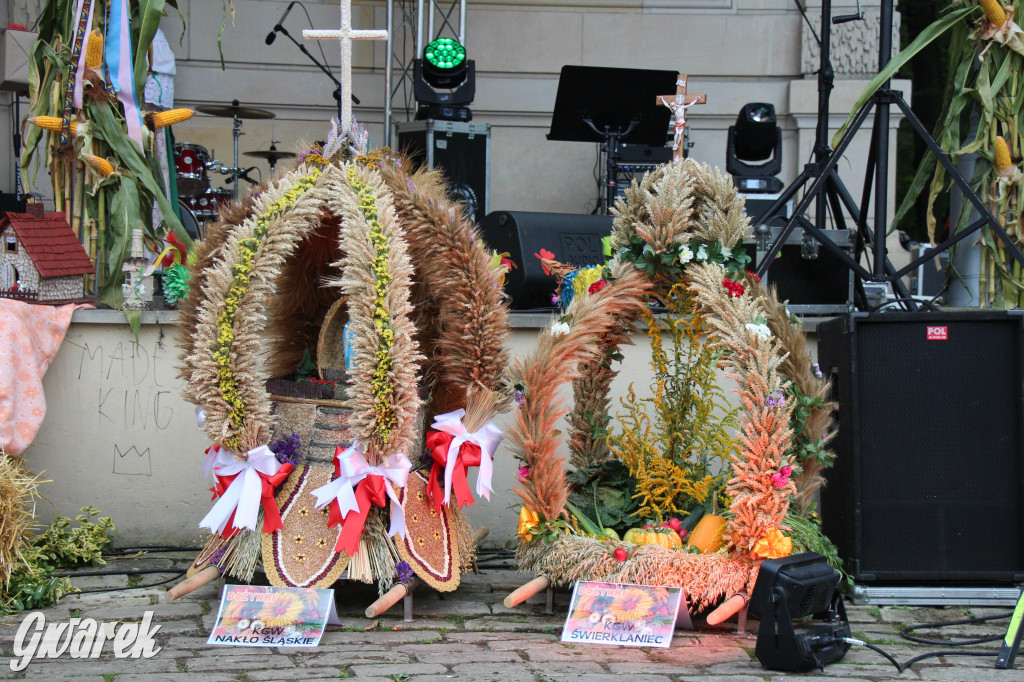 Dożynki w Świerklańcu: korowód i jarmark