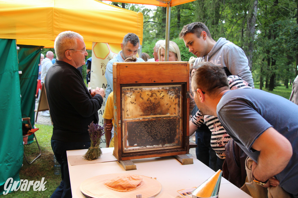 Dożynki w Świerklańcu. Na stoiskach rękodzieło i miody
