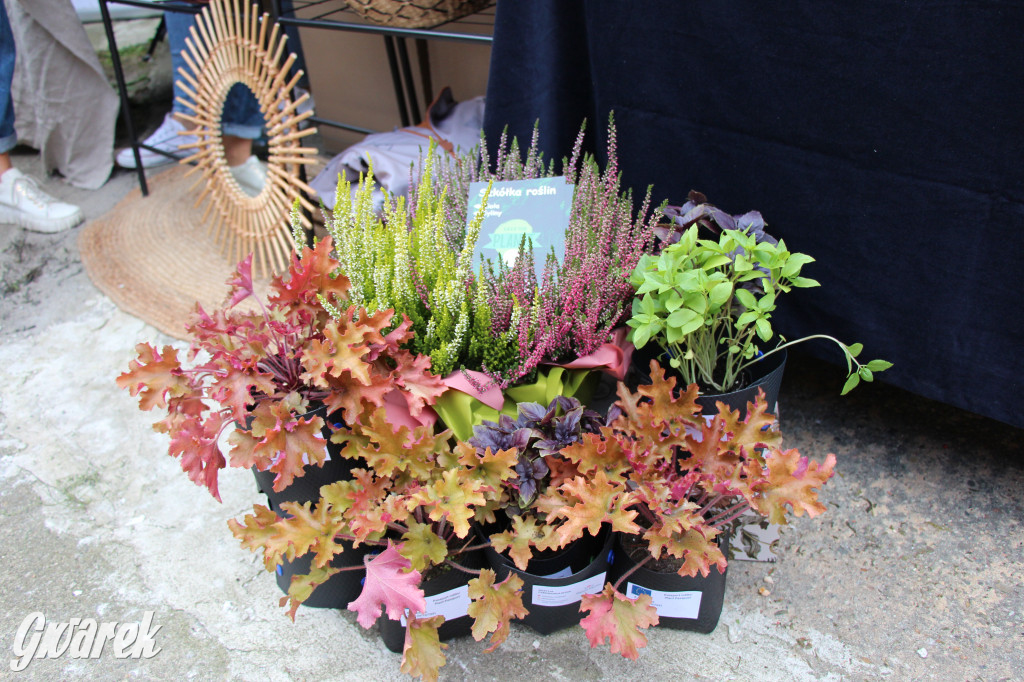 Tak było na Tegie Slow Day