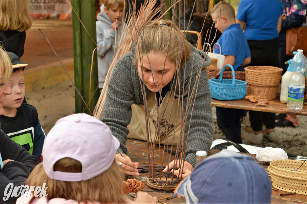  X Rodzinne Grzybobranie w Kaletach
