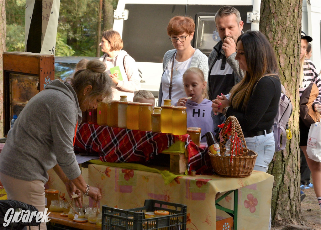  X Rodzinne Grzybobranie w Kaletach