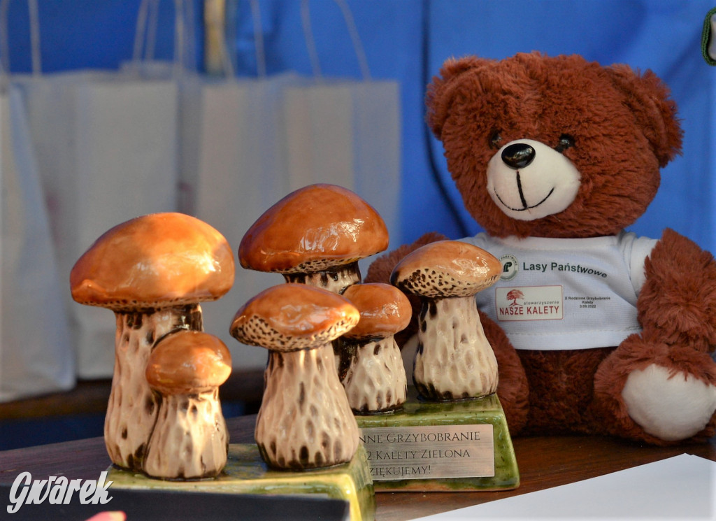  X Rodzinne Grzybobranie w Kaletach
