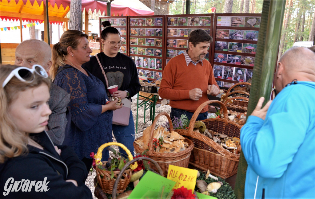  X Rodzinne Grzybobranie w Kaletach