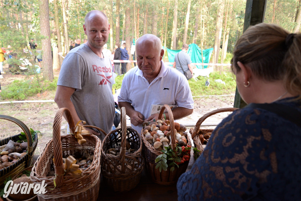  X Rodzinne Grzybobranie w Kaletach