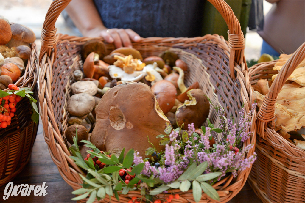  X Rodzinne Grzybobranie w Kaletach