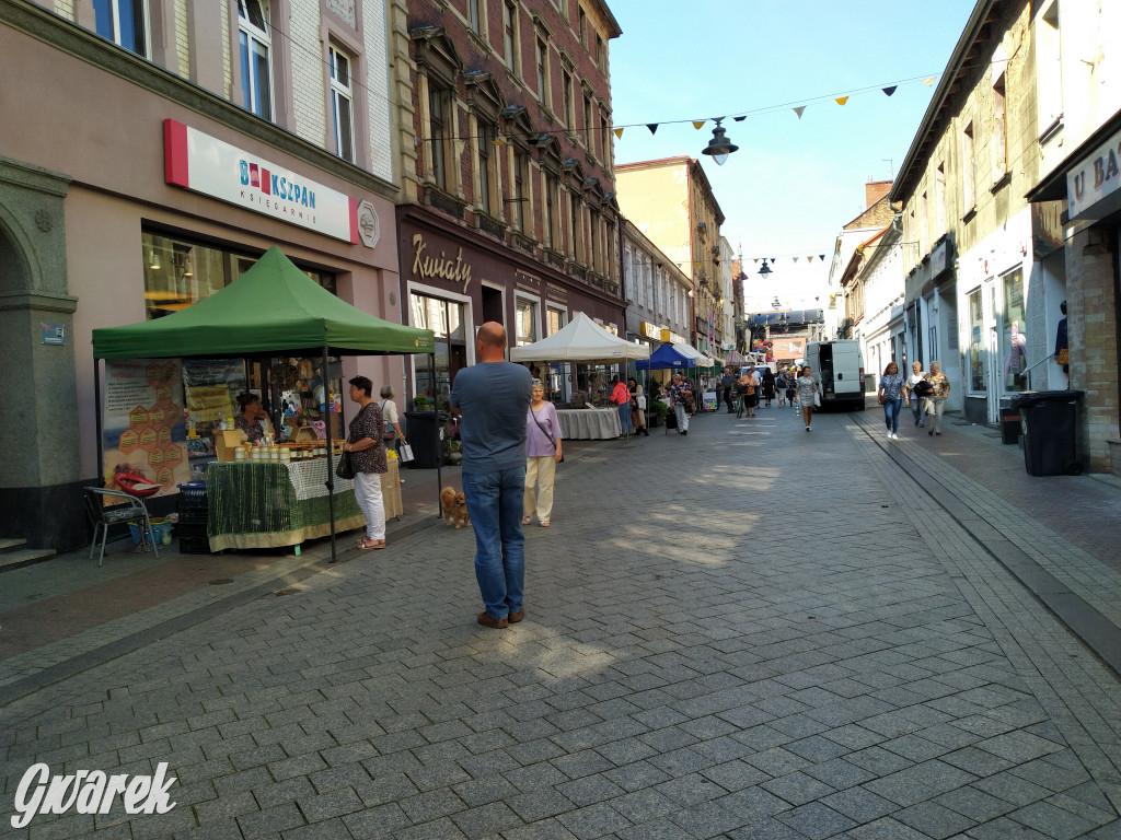 Ostatnie przygotowania do Gwarków 2022 [ZDJĘCIA]