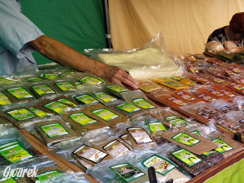 Ostatnie przygotowania do Gwarków 2022 [ZDJĘCIA]