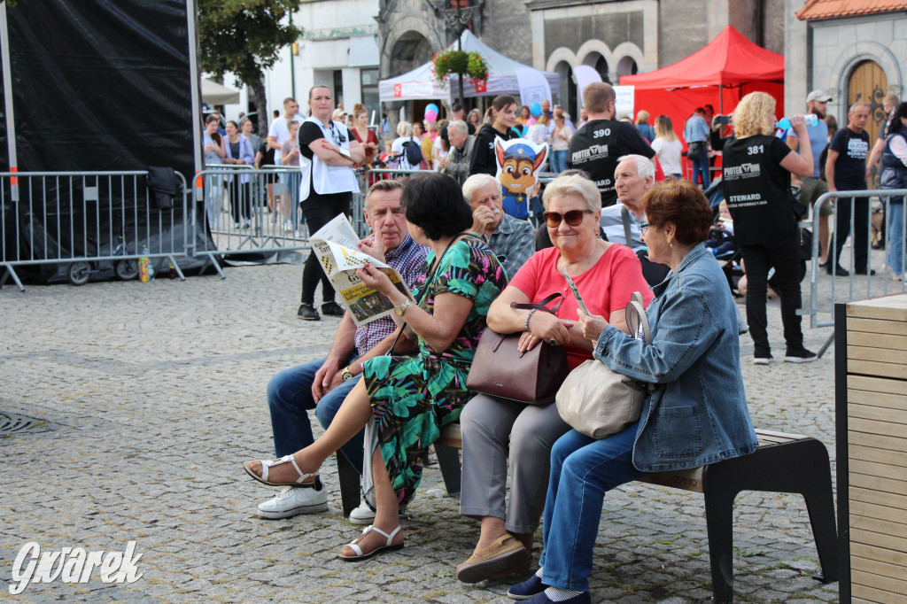 Gwarki 2022. Orkiestra z Miasteczka Śląskiego