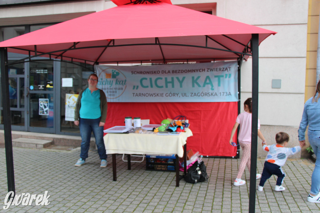 Gwarki 2022. Orkiestra z Miasteczka Śląskiego