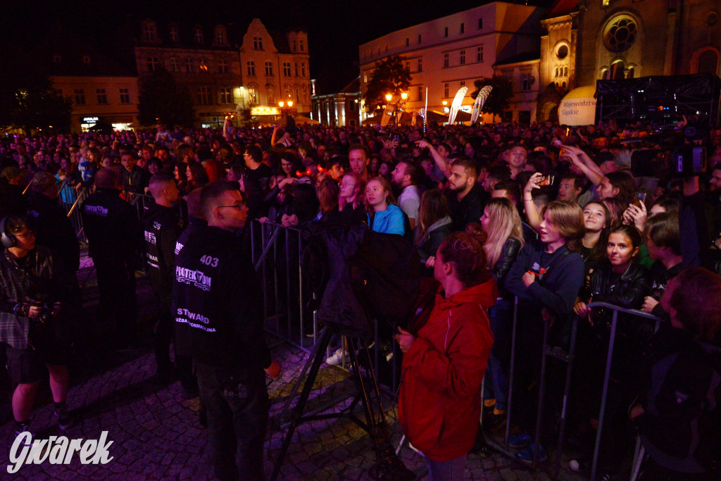 Gwarki 2022 - Nocny Kochanek